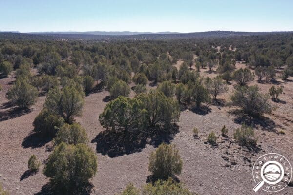 AZ-YAV-82470-Off-Grid 40.2-Acre Treed Property in SELIGMAN, AZ! Only 364/Month- Owner Financing!