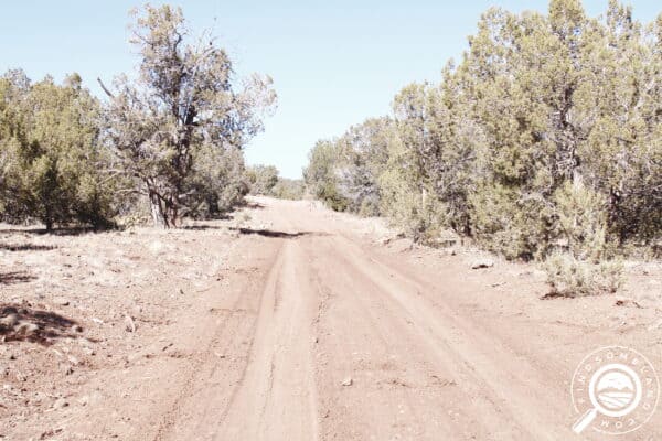 AZ-YAV-82470-Off-Grid 40.2-Acre Treed Property in SELIGMAN, AZ! Only 364/Month- Owner Financing!