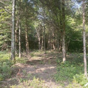 IN-CRA-13408A-3.36 acres in Leavenworth - 20 mins to the Ohio River!