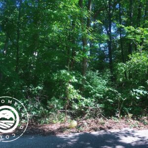 IN-FLO-TS-0124-Wooded lot perfect for building in Georgetown, IN - 15 minutes to Louisville, KY