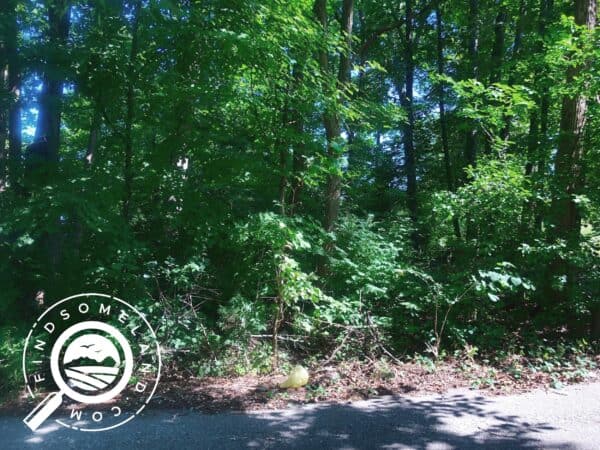 IN-FLO-TS-0124-Wooded lot perfect for building in Georgetown, IN - 15 minutes to Louisville, KY