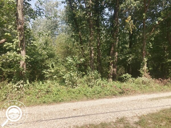 IN-GRE-TS0117-0.2 Acres of Green Trees & Lush Vegetation Next to the Eel River!