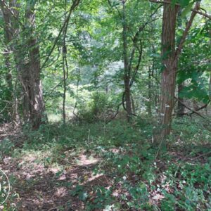 IN-MON-TS0263-0.75 Acres of Natural Land for Recreational use just 15 minutes from Bloomington, IN. Home of the beloved Hoosiers and the prestigious Indiana University!