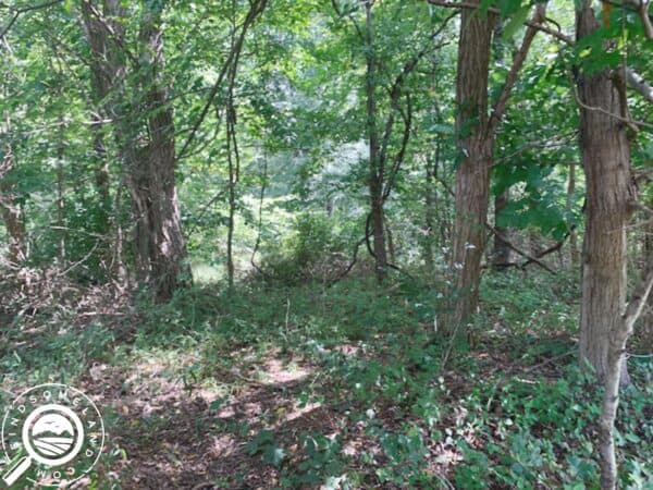 IN-MON-TS0263-0.75 Acres of Natural Land for Recreational use just 15 minutes from Bloomington, IN. Home of the beloved Hoosiers and the prestigious Indiana University!