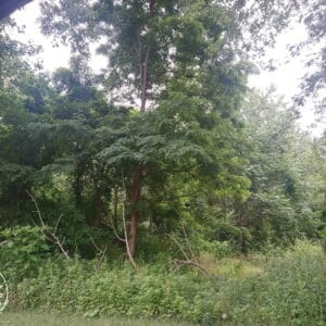 IN-POR-TS0282-0.17 acres near Lake Michigan and Partially Wooded!