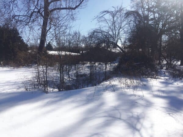 IN-STJ-TS0301-0.24 acre buildable lot in South Bend - Close to the river and 10 minutes from Notre Dame!