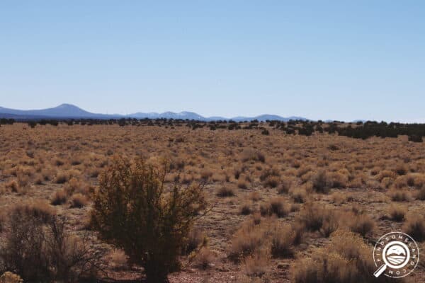 AZ-COC-74358-Own this 41.3 acre Desert Gem Ranch and see distant Snow Capped Mountains! The Grand Canyon National Park is just a short drive away with Owner Financing available!