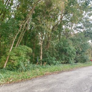 IN-LAK-TS0141-0.28 Acres for Sale Close to Lake Michigan and Right Next to the Indiana Dunes!