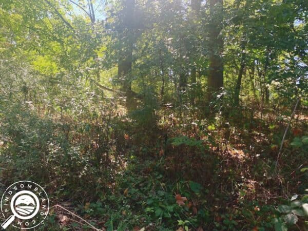 IN-LAP-TS0335-Wooded Recreational Property for Sale By Lake Hudson in New Carlisle, Indiana.