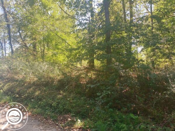 IN-LAP-TS0335-Wooded Recreational Property for Sale By Lake Hudson in New Carlisle, Indiana.