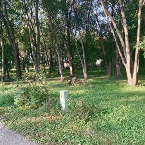 IN-POR-TS0291-Great Recreational Property Available for a really Low Price next to Lake Eliza and Close to Lake Michigan!