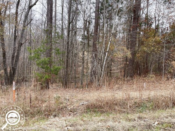 SC-LAU-0433-1 Acre of Unrestricted Land with NO ZONING in WATERLOO, SC!