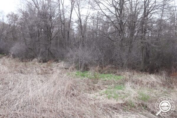 IN-STJ-TS0315-0.46 Acres of Woods in West South Bend and only 30 minutes to the Beach!