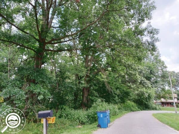 IN-POR-TS0277-0.6 Acres of Densely Wooded Land right next to The Indiana Dunes and the Beautiful Beaches of Lake Michigan!
